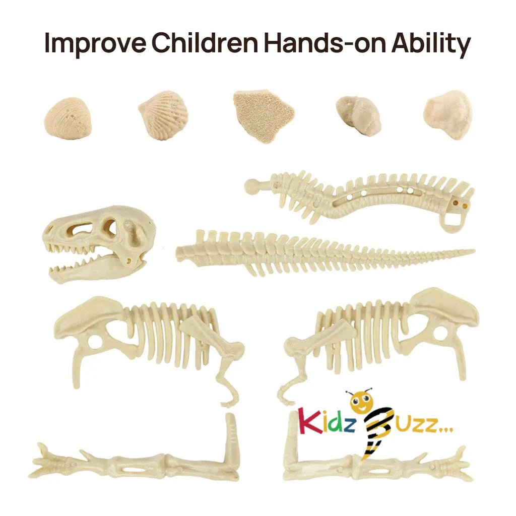 Dinosaur Fossil Dig Kit