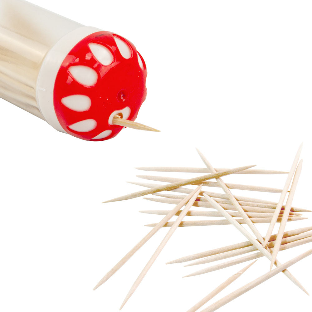 6Pcs Toothpick Dispenser