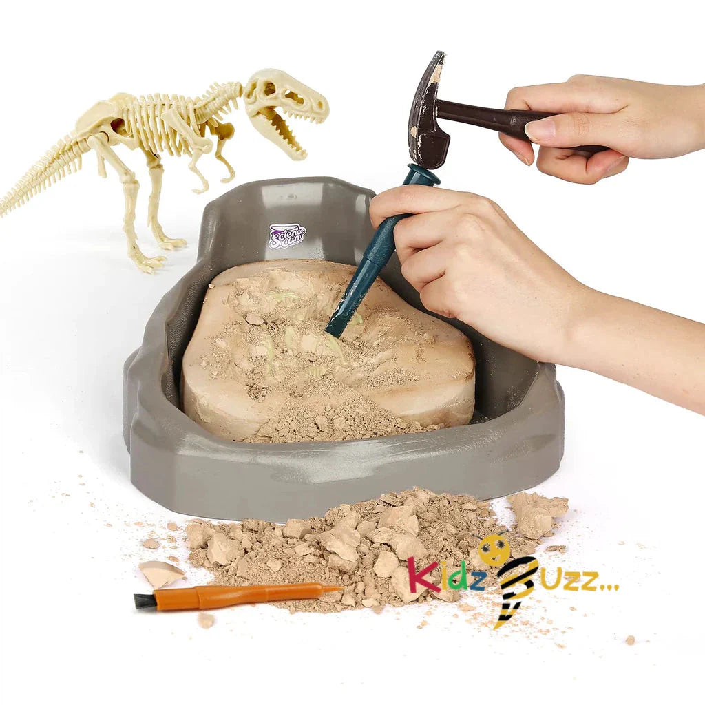 Dinosaur Fossil Dig Kit