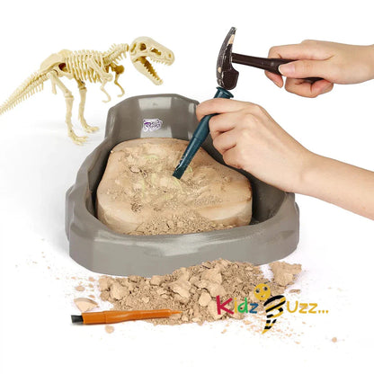 Dinosaur Fossil Dig Kit