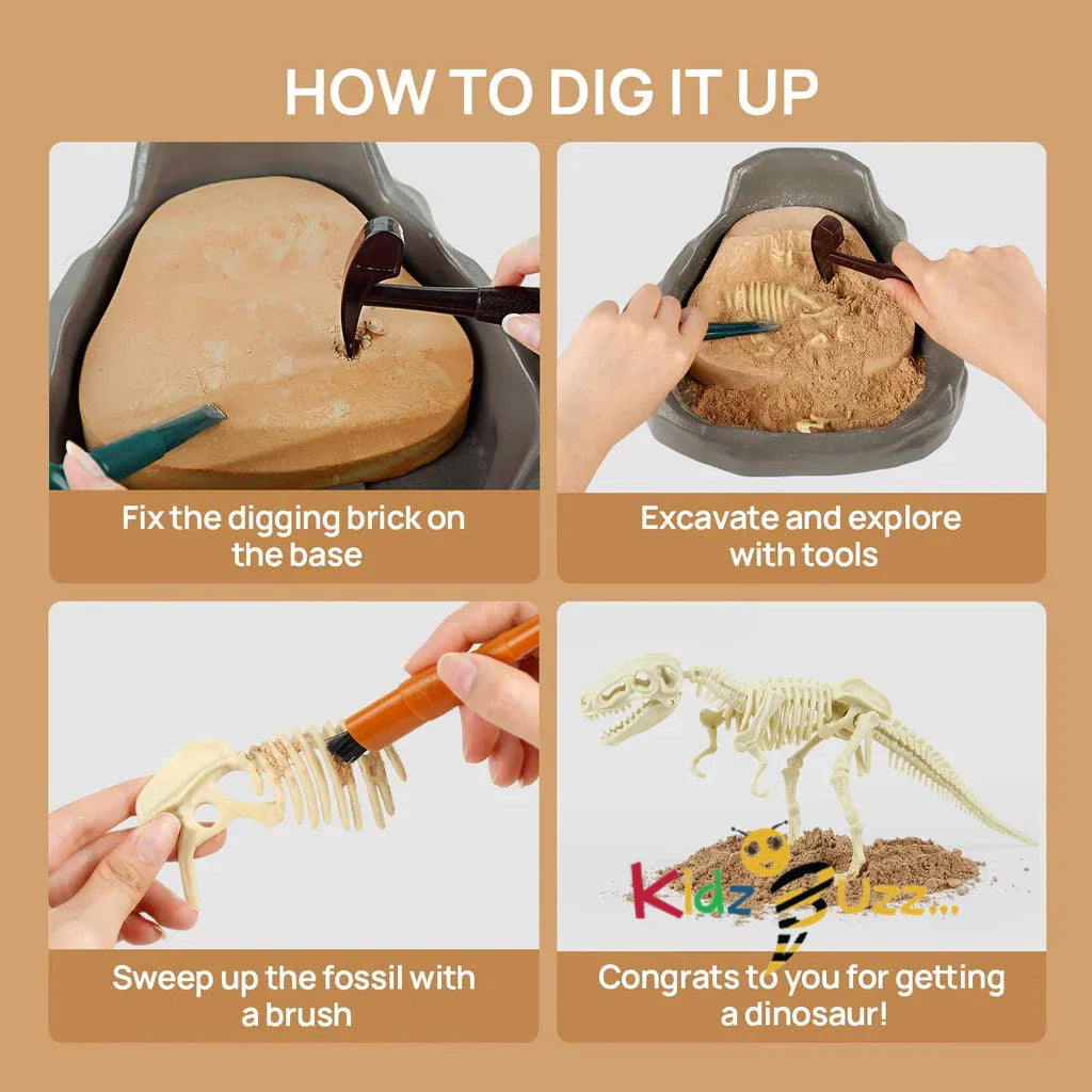 Dinosaur Fossil Dig Kit