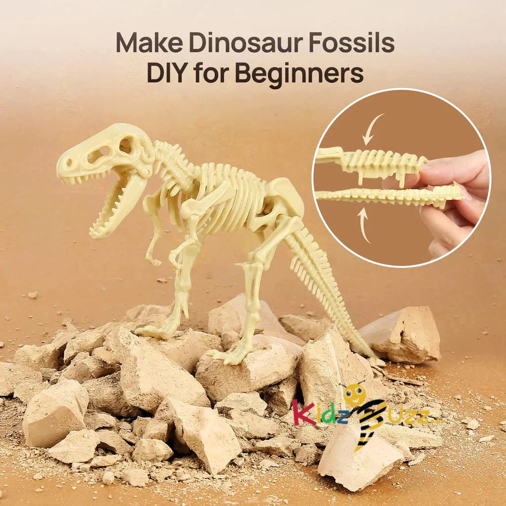 Dinosaur Fossil Dig Kit