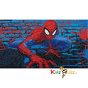 Spiderman Crystal Art 22x40