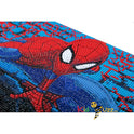 Spiderman Crystal Art 22x40