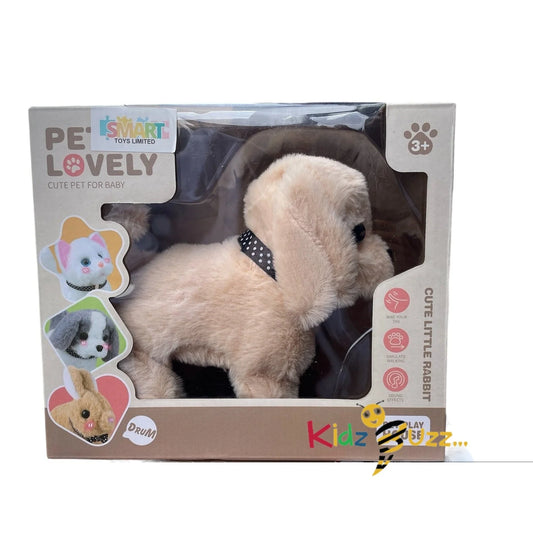 Lovely Pet Cat Toy For Kids