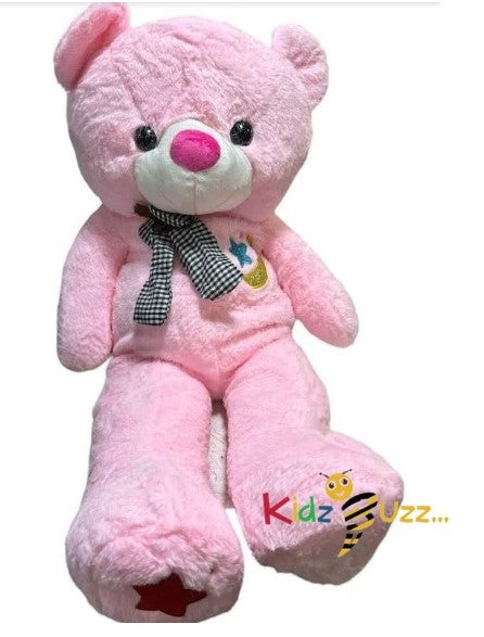 100CM Pink Teddy Bear Soft Toy