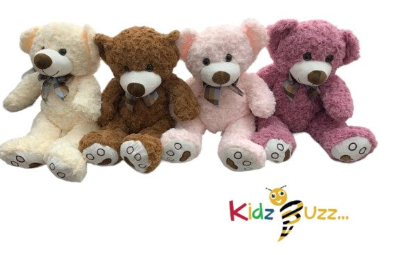 50cm Teddy Bear Soft Toy- Cute And Cuddly Collectible Soft Plush Toy