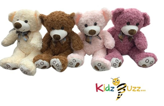 50cm Teddy Bear Soft Toy- Cute And Cuddly Collectible Soft Plush Toy