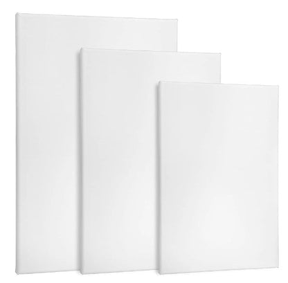 Canvas Assorted(Set Of 3), Plain White Canvas for Painting Sketching Drawing