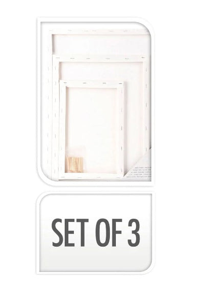 Canvas Assorted(Set Of 3), Plain White Canvas for Painting Sketching Drawing