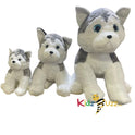 75cm Cute Husky Soft Toy- Soft Plush Toy