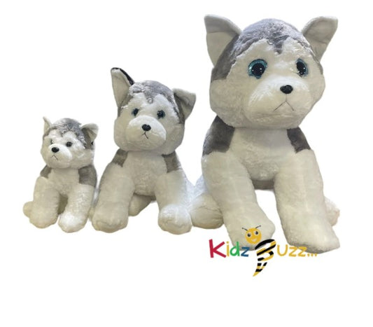 75cm Cute Husky Soft Toy- Soft Plush Toy