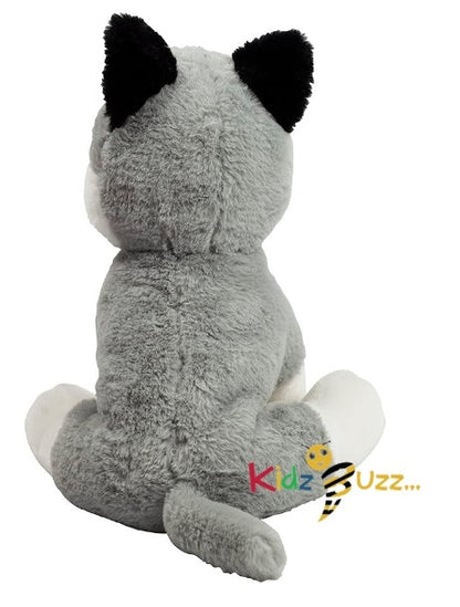 75cm Cute Husky Soft Toy- Soft Plush Toy